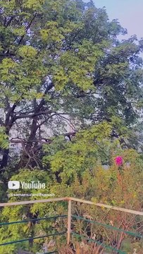 Usama Muzamil Hussain | -Outing_time 😎 | Ghora Gali Murree | Pakistan | Vedios | Dailymotion