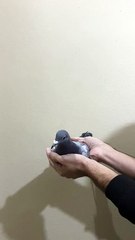 VID-20241125-WA0039 34-24-37773