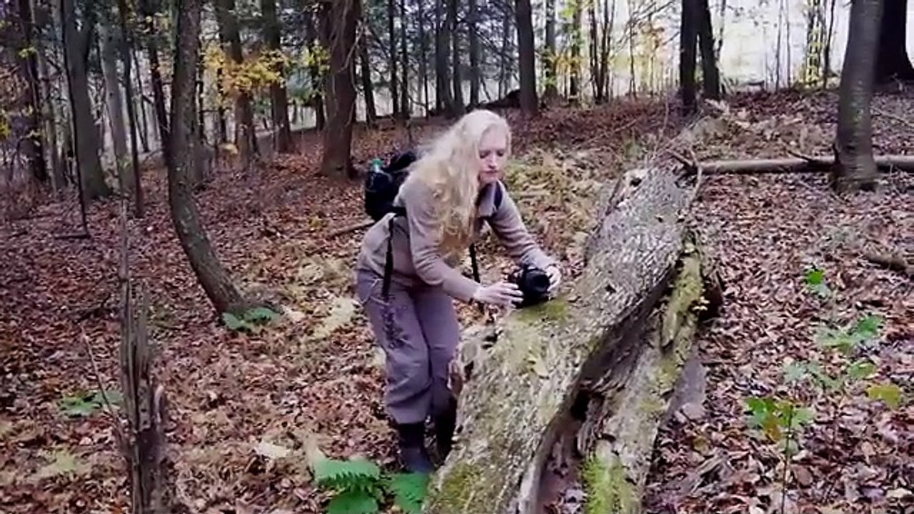 BIGFOOT VS ZOMBIES Exclusive Full Fantasy Horror Movie English HD 2024