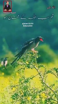 جنّت میں فرشتے نیک لوگوں کا استقبال یہ کہتے ہوئے کریں گے کہ'سلامتی ہو تم پر' 🌺 سَلَامٌ قَوْلًا مِّن رَّبٍّ رَّحِيمٍ 💌 مہربان ربّ کی طرف سے اُنہیں سلام کہا جائے گا ان سب چیزوں کے لیے جنہیں تم نے صبر سے برداشت کیا❣️ اللہ پاک ہم سب پر اپنی سلامتی رکھ