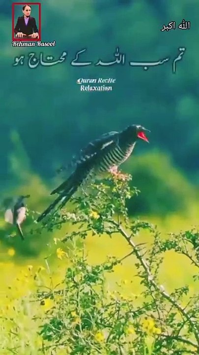 جنّت میں فرشتے نیک لوگوں کا استقبال یہ کہتے ہوئے کریں گے کہ'سلامتی ہو تم پر' 🌺 "سَلَامٌ قَوْلًا مِّن رَّبٍّ رَّحِيمٍ "💌 "مہربان ربّ کی طرف سے اُنہیں سلام کہا جائے گا  ان سب چیزوں کے لیے جنہیں تم نے صبر سے برداشت کیا❣️ اللہ پاک ہم سب پر اپنی سلامتی رکھ