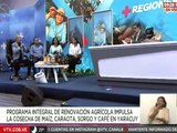 Gob. Julio Heredia: 100 conuqueras se han sumado al Plan de Renovación Integral Agrícola