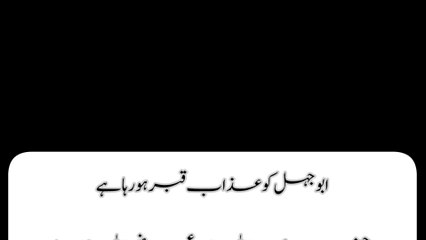 Islamic story|islamic books to read