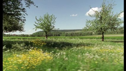 Mani Matter - Warum syt dir so truurig? | movie | 2002 | Official Trailer