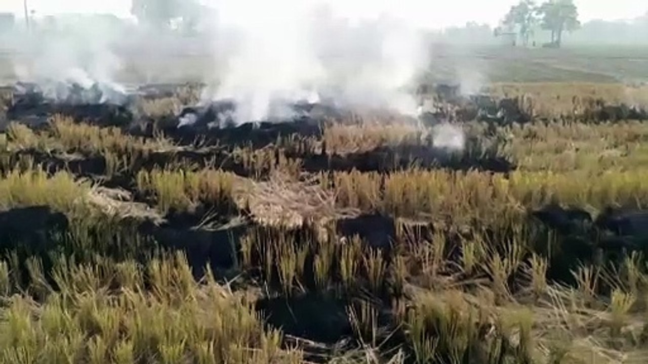 Farmers on India smog: help us, or we have to k...