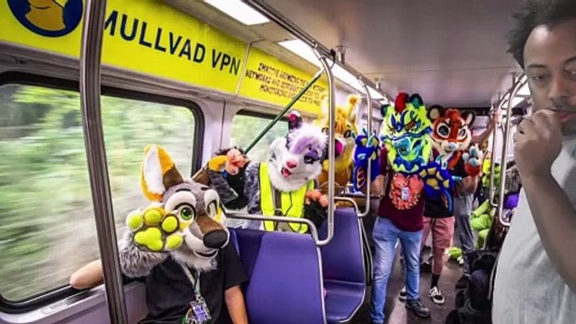 Baron Tremayne Caple A.K.A. Foxy Kitsune Fox Illegal Furry/Furries Crossing Border To United States