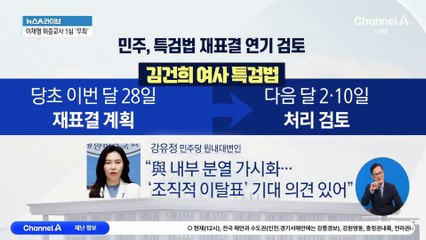 민주당, 김 여사 특검법 재표결 연기 검토