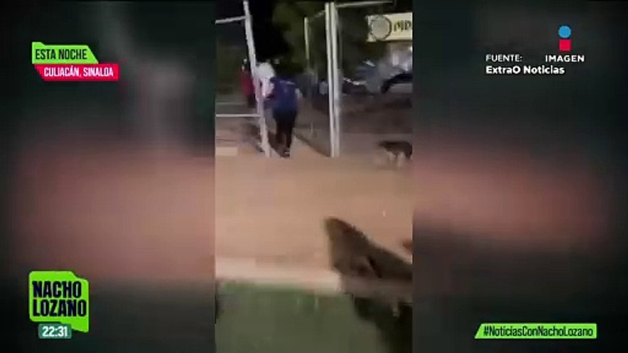 Ataque en Culiacán provocó una balacera en un campo de fútbol | Noticias con Nacho Lozano