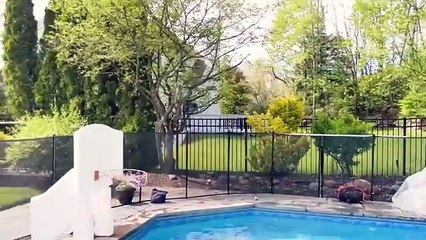 Try Not To Laugh Funny Videos Capturing The Perfect Timing In Sports