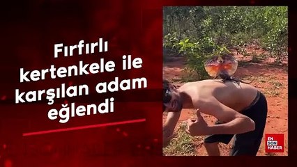 Fırfırlı kertenkele ile karşılaşan adam eğlendi