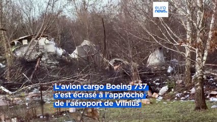 Lituanie : la ministre allemande des Affaires étrangères affirme que l’accident d’un avion pourrait être un attentat hybride