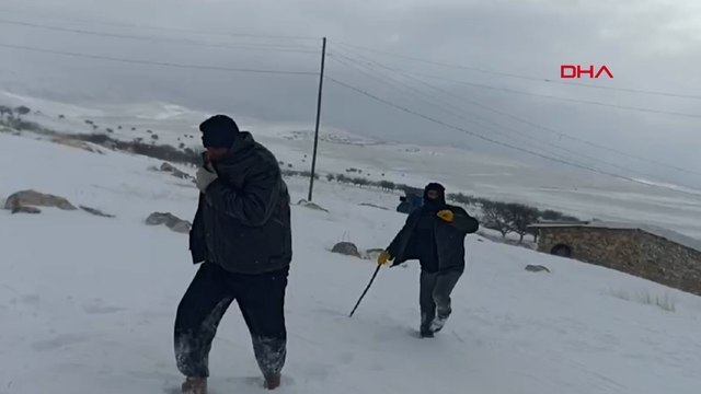 Malatya 'da 100 küçükbaş donarak telef oldu