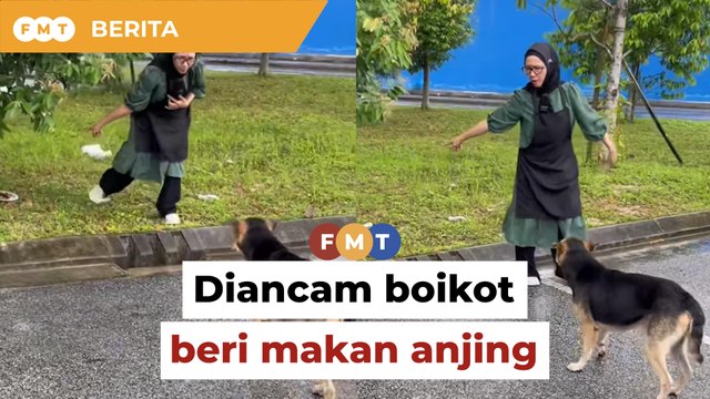 Diancam boikot beri makan anjing, pemilik restoran terkejut premis dapat sambutan