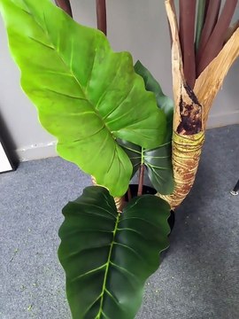 Bán cây giả cao 2m đủ mẫu mã, nhiều kích thước, decor bắt mắt, đẹp giống thật 90%, hỗ trợ vận chuyển