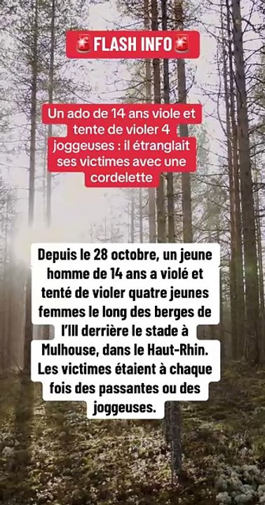 Mulhouse : Un adolescent de seulement 14 ans soupçonné de 4 viols en quelques jours. Il surgissait derrière ses victimes et tentait de les étrangler avec une cordelette
