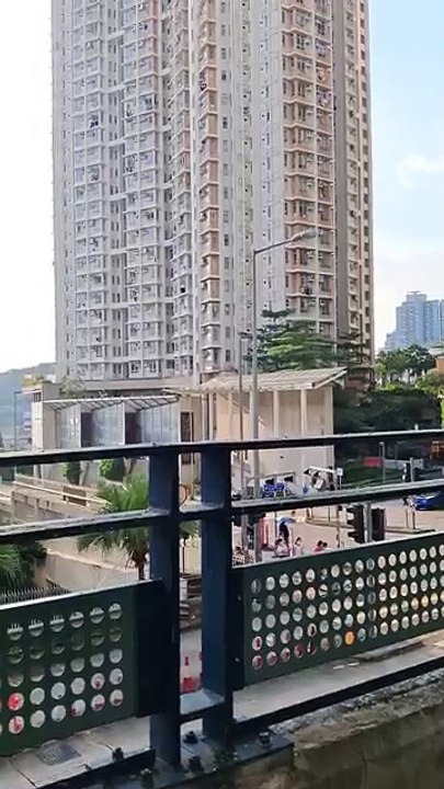 An Elegant Social Experience