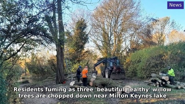 Milton Keynes Citizen Morning Update 26 November, 2024