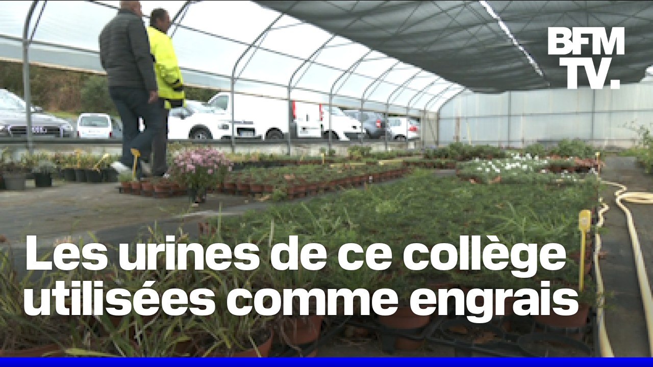 Les urines de ce collège d'Hendaye sont utilisées comme engrais pour l'agriculture