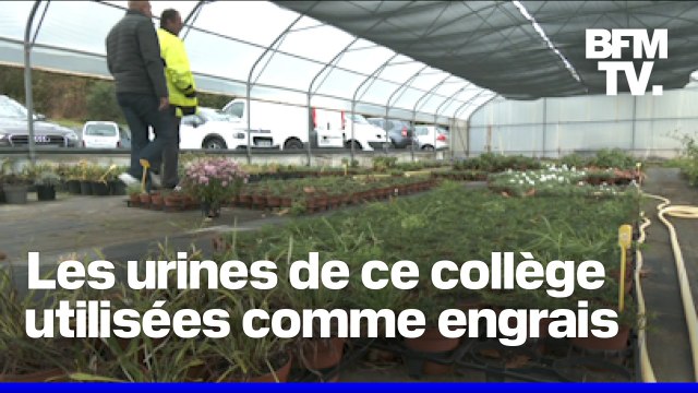 Les urines de ce collège d'Hendaye sont utilisées comme engrais pour l'agriculture