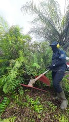 Farmer clearing garden land