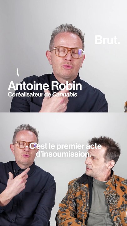 "Cannabis", le documentaire de Mathieu Kassovit...