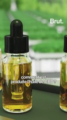 Comment consommer l'huile de CBD ?