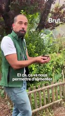 C'est quoi le compost ?