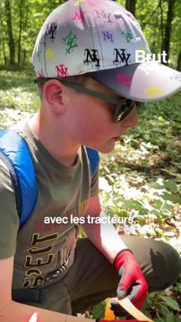 Pendant ce temps-là… – Ces écoliers découvrent la nature en s'occupant d'une parcelle de forêt