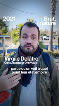 Marineland : une orque morte de façon prématurée