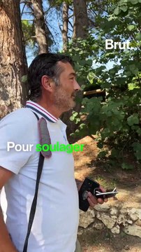 Il consomme du CBD pour soulager ses douleurs au dos