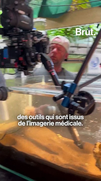 Luc Jacquet filme la barrière de corail en Polynésie