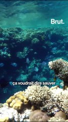 Et s'il n'y avait plus de pétrole ?