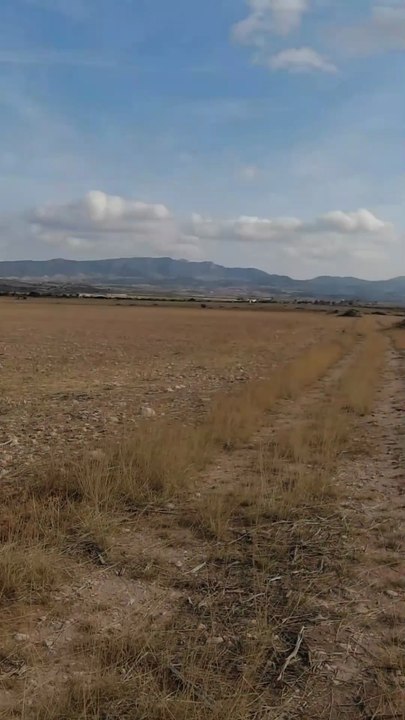 🤗Allora, continuiamo i voli in questa zona dopo quelli fatti con il drone DJI FPV🚁