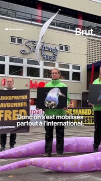 Ça se passe en Norvège mais ça nous concerne tous…