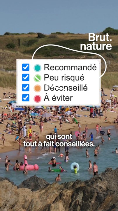 Nos plages sont-elles pires que la Seine ?