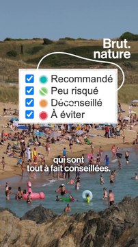 Nos plages sont-elles pires que la Seine ?