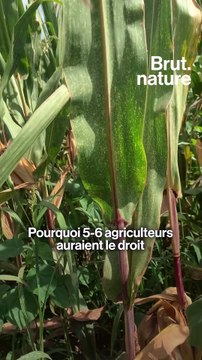 Méga-bassines agricoles : pour ou contre ?