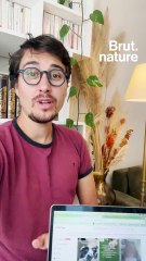 Ils peuvent communiquer avec votre chien, arnaque ou réalité