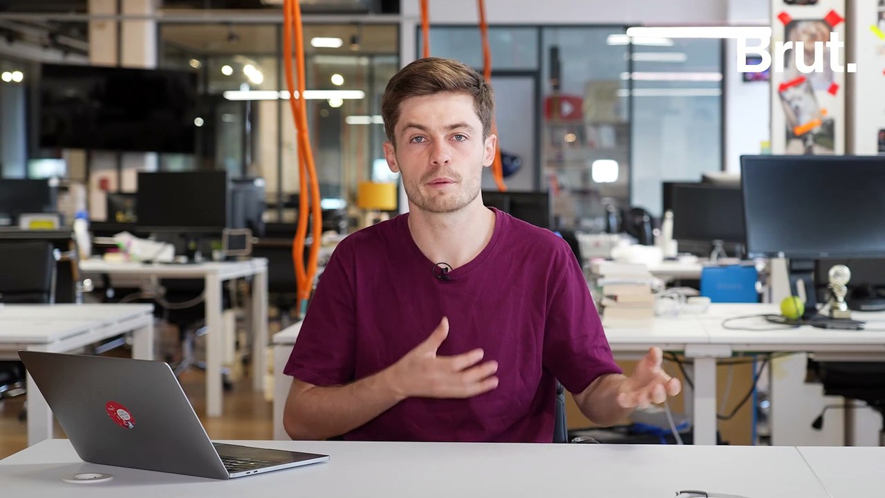 Pourquoi les castors reviennent… et qu'est-ce que ça change pour nous ?