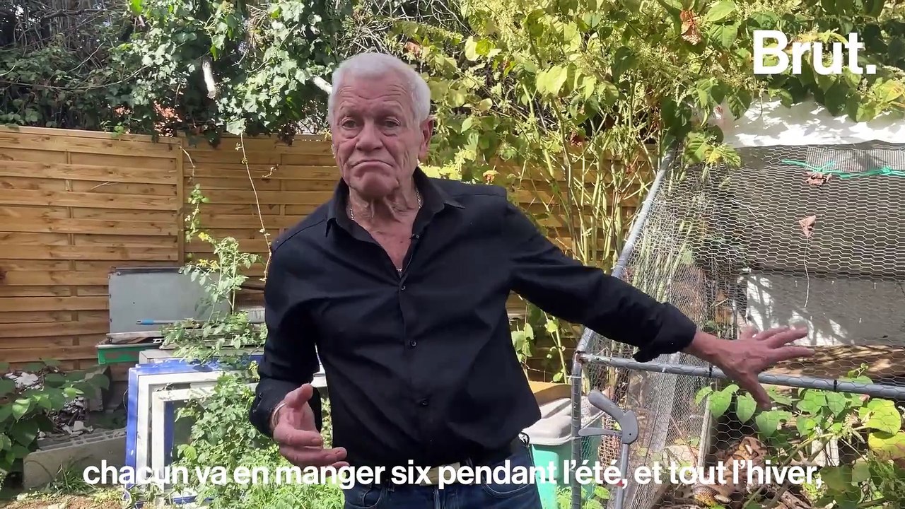 Serpents, crocodiles, lézards… Philippe vit avec plus de 400 reptiles