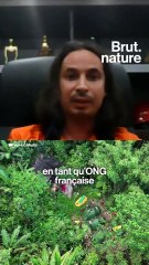 Un peuple autochtone menacé par une mine de nickel