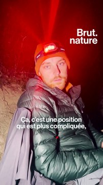 Ils protègent les alpages des attaques de loup toutes les nuits