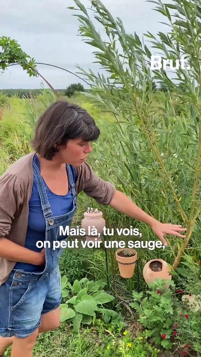 À la ferme du Bol d'Herbe, ils veulent réinventer la paysannerie