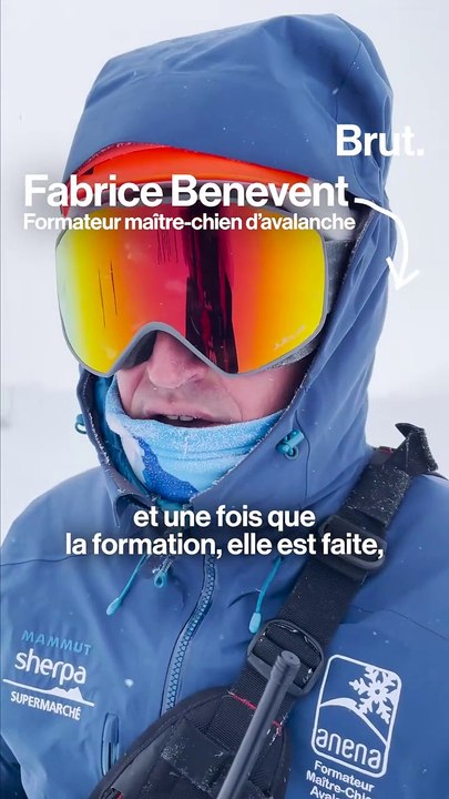 En formation avec les chiens d'avalanche