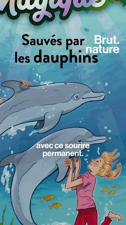 14 questions très simples sur les dauphins