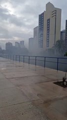 Homem ateia fogo na vegetação no Caminho das Árvores