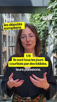 La vérité sur les députés européens par une eurodéputée