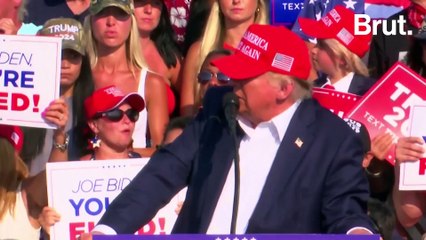 L'alliance Donald Trump & Elon Musk