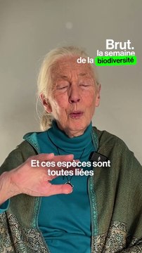 L’importance de la biodiversité par Jane Goodall