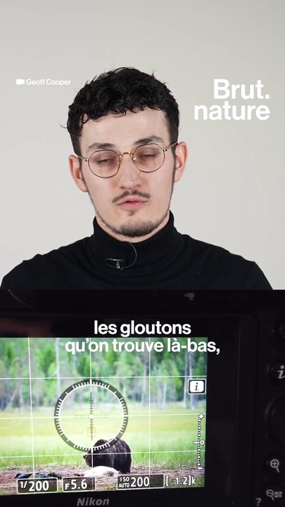 La triche derrière certaines photos animalières